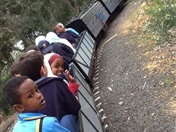 Year 1 and Year 2 Excursions Term 4